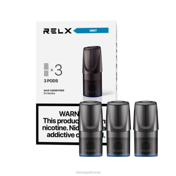RELX Classic buah polong pudina XT8H130 - Relx Wholesale