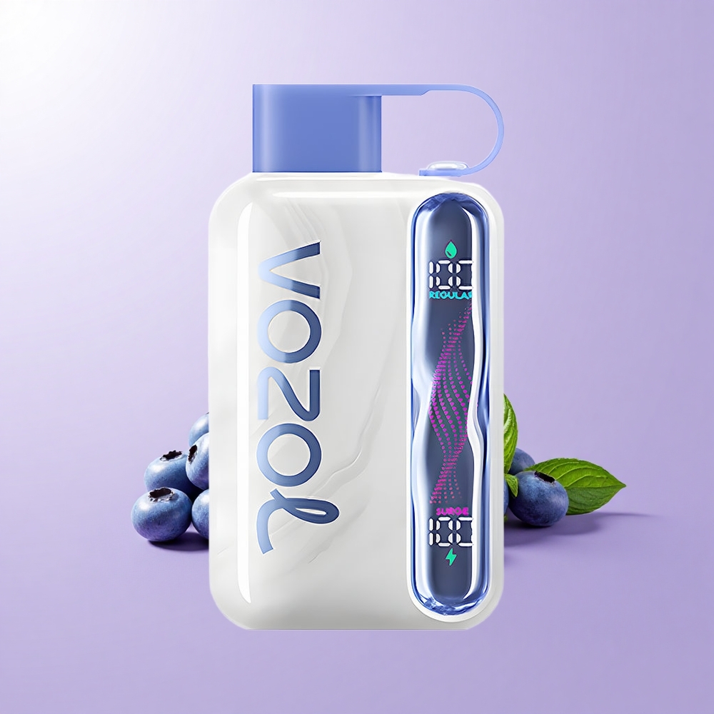 VOZOL STAR 40000 Hisap Vape Boleh Pakai Bluberi Pudina 1000mAh Type-C 20/50mg/ml
